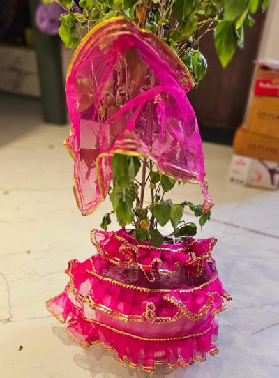 135 rs set on buying 25+ sets / WhatsApp at 8619550223 to order 🔥 Tulsi poshak Tulsi poshak for Tulsi vivah / shagun cloth for Tulsi ji plant for festival favours (video attached)