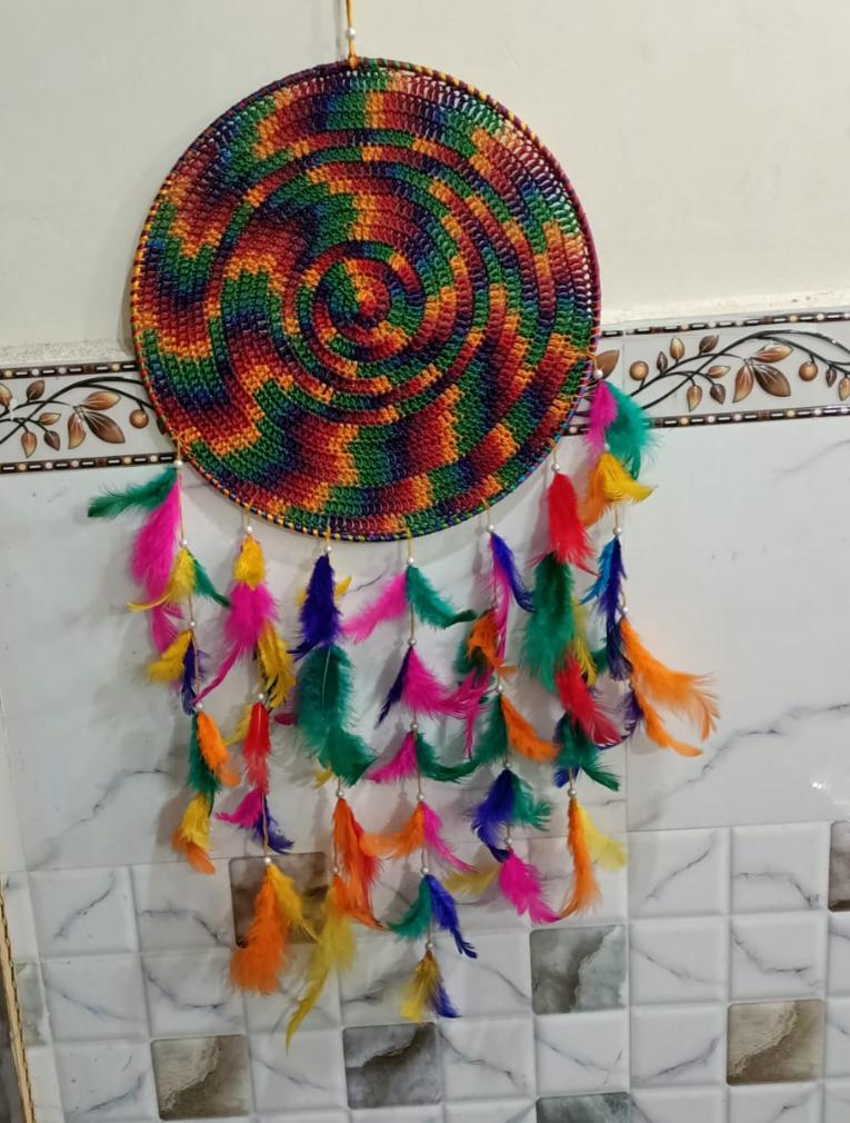 Art & Craft Feathers (Multi Colour), For Decoration at Rs 18/pack