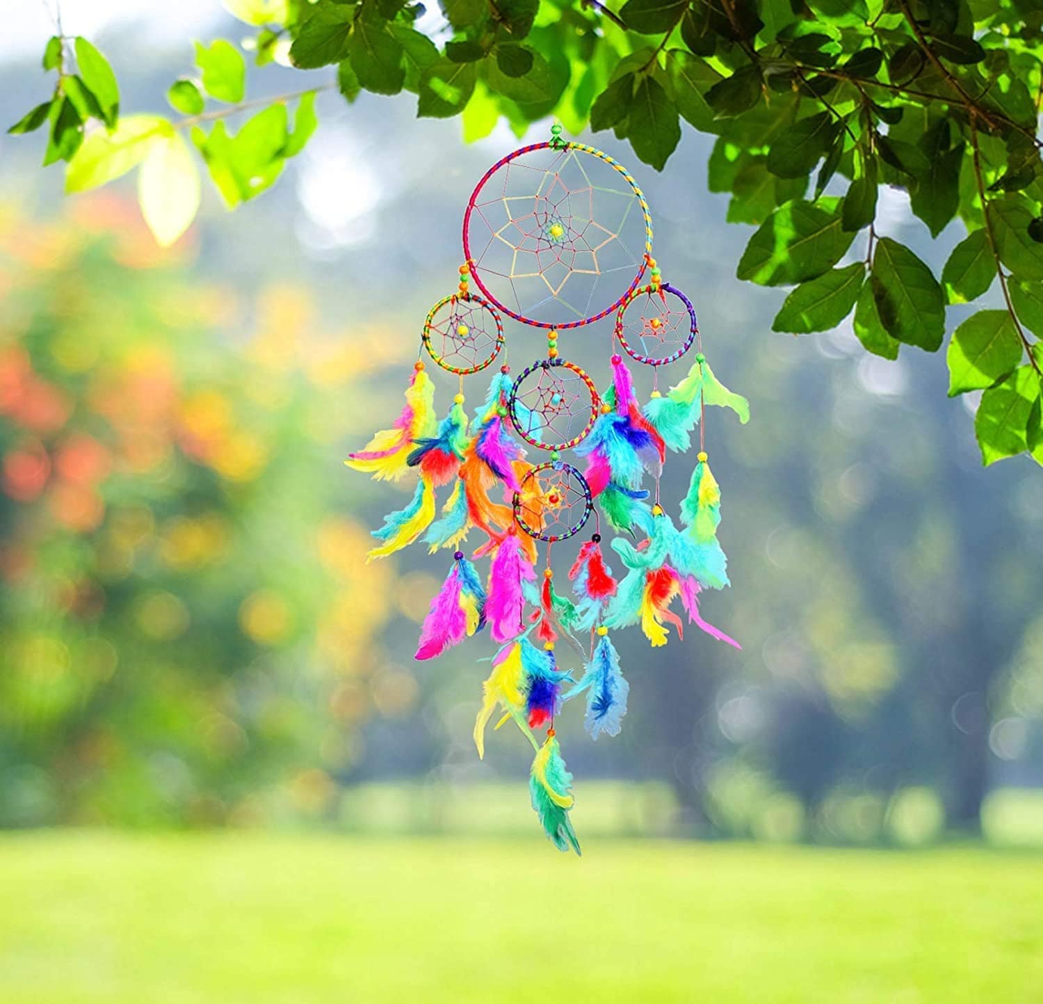 Dream Catcher Dream Catcher