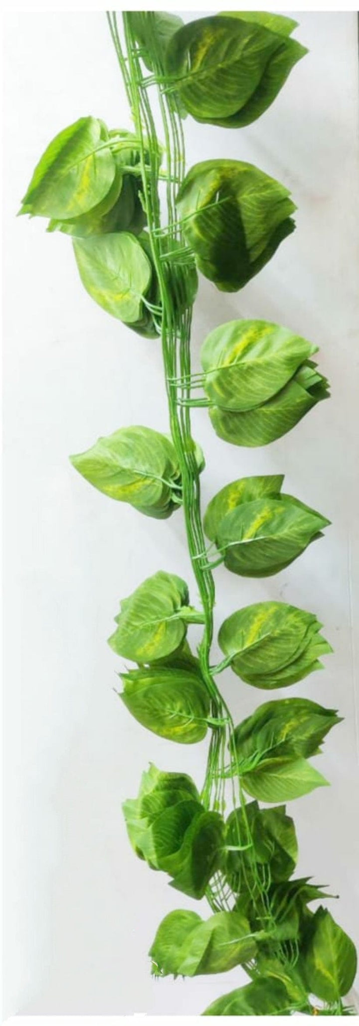 money plant is a creeper LAMANSH 8 Feet Long Artificial Garland Money Plant Leaf Creeper Greene –  Lamansh