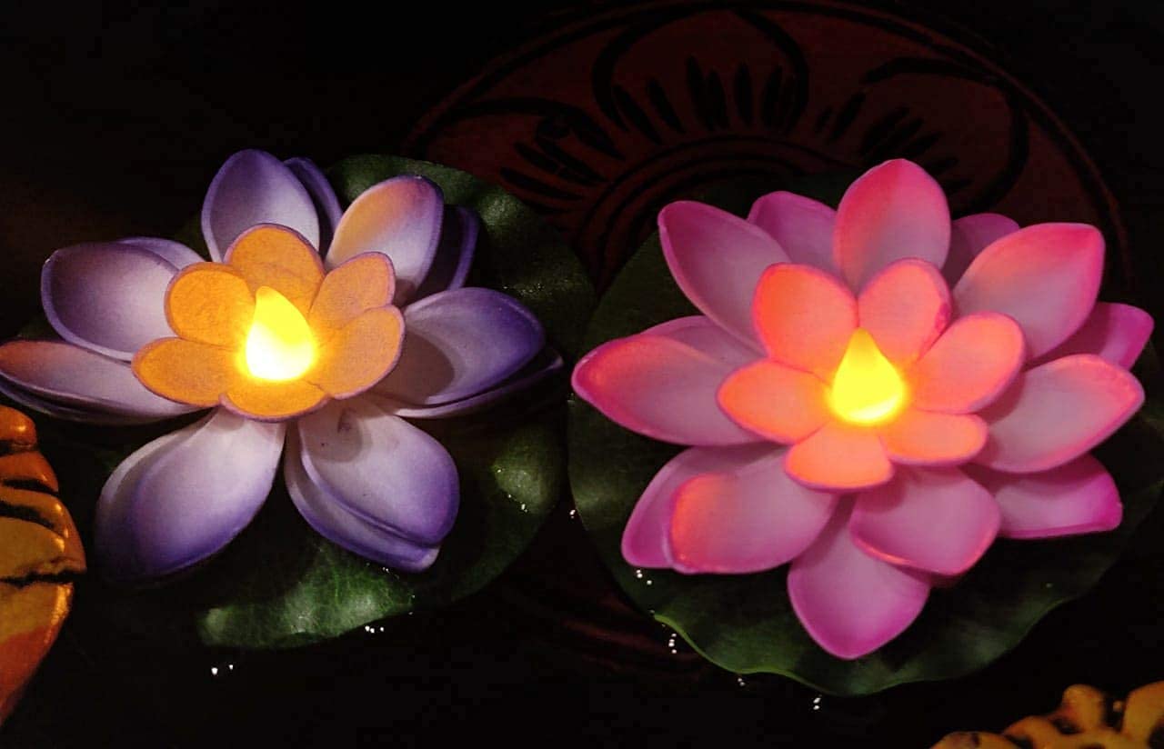 LAMANSH Water Floating candle Multicolor / Plastic / Standard LAMANSH® Water Floating smokeless Candle and Lotus Flowers Sensor LED Tea Light Multi Colour Pack of 6pc